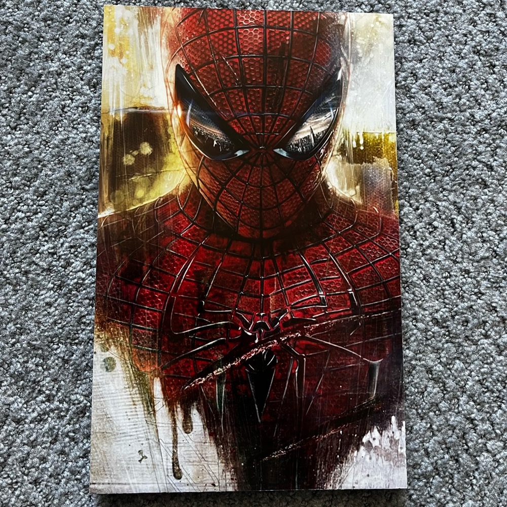 Spiderman Wall Display